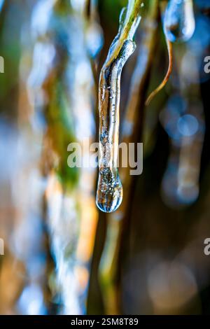 Nahaufnahme eines schmelzenden Eiszapfens, der mitten im Herbst einen Wassertropfen mit einem unscharfen natürlichen Hintergrund in atemberaubendem Makrodetail einfängt Stockfoto