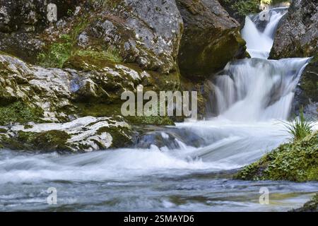 Gebirgsbach mit kleinen Wasserfällen in der Weissbachschlucht in den Chiemgauer Alpen, Bayern, Deutschland, Europa Stockfoto