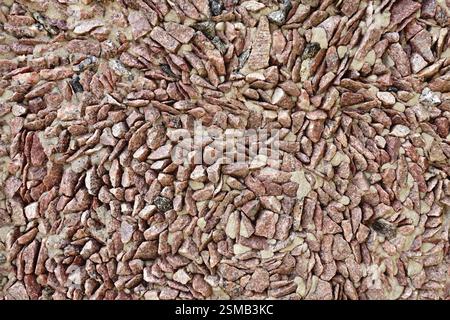 Die Wand, gebaut aus feinem Granit Schotter braun verstärkte Zement Stockfoto