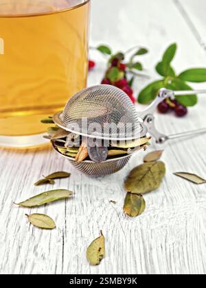 Getrocknetes Preiselbeerblatt in einem Metallsieb, Tee in Glasbecher, Beeren und grüne Blätter auf einem Hintergrund aus roten Heidelbeeren hellen Holzplanken Stockfoto