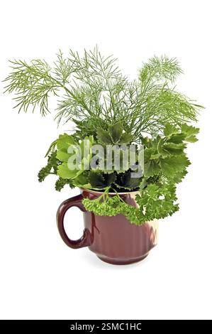 Petersilie, Sellerie und Fenchel in einem Keramikbecher isoliert auf weißem Hintergrund, Russland, Europa Stockfoto