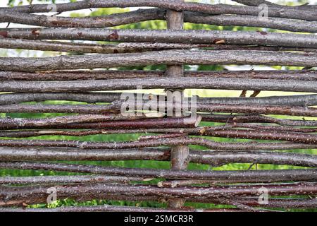 Gewebte weide zaun mit grünem Gras in die Lücken zwischen den Balken Stockfoto
