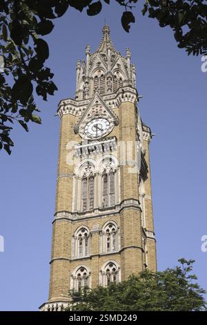 Rajabhai Tower, Bombay Mumbai, Maharashtra, Indien, Asien Stockfoto
