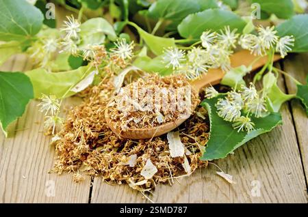 Kochlöffel mit getrockneten Blüten von Linden, frische Lindenblüten mit Blätter auf einem Hintergrund von Holzbrettern Stockfoto