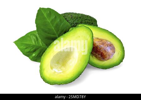 Eine ganze und eine halbe Avocado, Knochen, zwei grüne Blätter isoliert auf weißem Hintergrund Stockfoto
