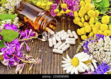 Kapseln in einem braunen Glas und auf dem Tisch, frische Blumen von fireweed, tansy, Kamille, Klee, Schafgarbe, Mädesüß, Minzblätter auf dem Hintergrund von dar Stockfoto