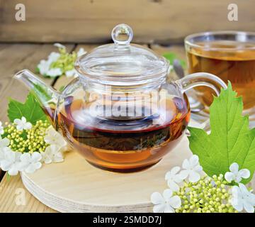 Kräutertee aus den Blüten von Viburnum in Glas-Teekanne und -Tasse, frische Blüten von Viburnum auf einem hölzernen Bretthintergrund Stockfoto