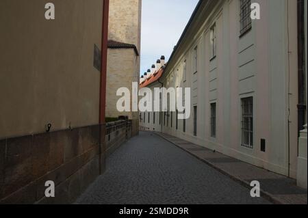 Enge Kopfsteinpflasterallee gesäumt von historischen Gebäuden in der Tschechischen Republik. Die roten Ziegeldächer blicken über eine Steinmauer. Ruhig und atmosphärisch, evokin Stockfoto