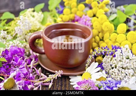 Kräutertee in einem Ton Tasse frischen Blumen fireweed, Rainfarn, Kamille, Klee, Schafgarbe, Mädesüß, Minze auf einem dunklen Holz- Board Stockfoto