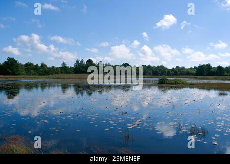 Laesoe, Dänemark: Blick auf das Moorgebiet von Kaerene mit dem See des Moors Birkemose Stockfoto