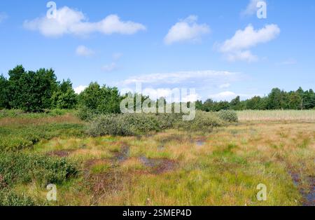 Laesoe, Dänemark: Blick auf das Moorland von Kaerene Stockfoto