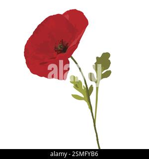 Red Poppy mit zwei grünen Blättern auf weißem Hintergrund Stockfoto