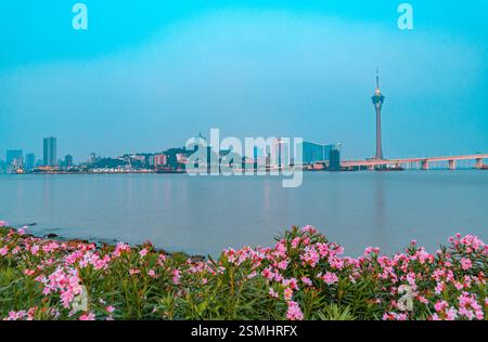 Nächtlicher Blick auf Macau über Zhuhai Stockfoto