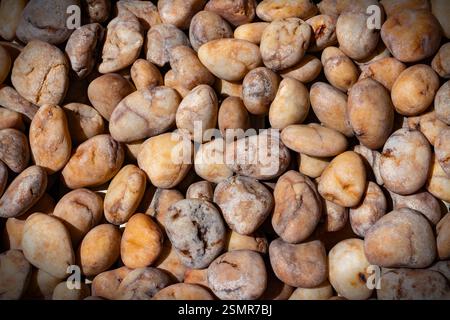 Kieselsteine mehrere Farben Textur Hintergrund. Stockfoto