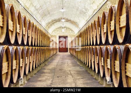 Fassladen im Weingut Marques de Riscal. Die Stadt des Weins. Elciego. Weinstraße Rioja alavesa. Alava. Baskenland. Spanien Stockfoto