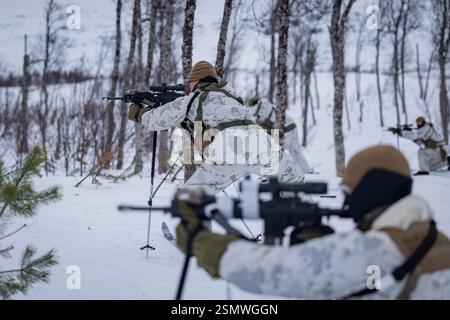 US-Marines und Seeleute mit 2. Aufklärungsbataillon, 2. Marine Division, nehmen an einer Reihe während des Patrouillenkurses Winter in Bardufoss, Norwegen, Teil. Stockfoto
