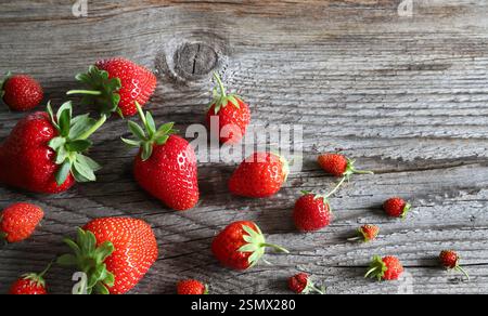 Gruppe von frischen Erdbeeren und wilden Erdbeeren isoliert auf hölzernem Hintergrund. Gesunde und vegetarische Lebensmittel. Direkt darüber. Stockfoto