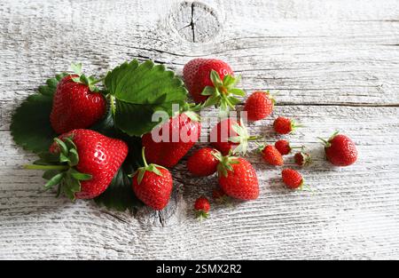 Gruppe von frischen Erdbeeren und wilden Erdbeeren isoliert auf hölzernem Hintergrund. Gesunde und vegetarische Lebensmittel. Direkt darüber. Stockfoto