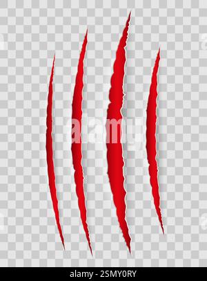 Spuren von Kratzern mit Krallen bis Blutvektor-Illustration isoliert auf Hintergrund Stock Vektor