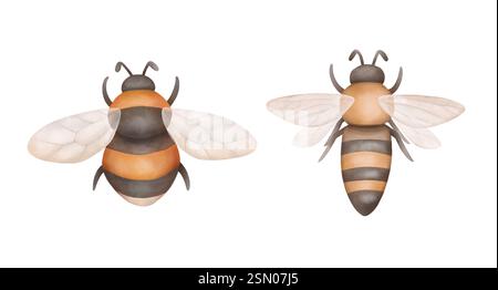 Hummel, Honigbiene fliegen, Blick von oben. Wieseninsekten-Illustration isoliert auf weiß. Stilvolle, handgezeichnete Designelemente im Aquarellstil. Stockfoto