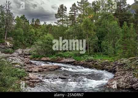 Panoramablick auf den Fluss Rauma, der durch einen grünen Wald in Oppland, Norwegen fließt und eine malerische Landschaft schafft. Oppland, Bjorli, Norwegen, Europa Stockfoto