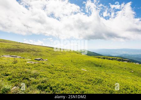 Grüne Wiesen der karpaten Berglandschaft. alpine Naturlandschaft mit Steinen zwischen üppigem Gras auf sanften Hügeln unter blauem Himmel mit Wolken. su Stockfoto