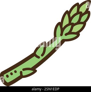 Spargel Vektor-Kritzelillustration und Grafik. Teil der Gemüsekategorie. Stock Vektor