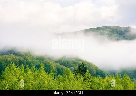 Landschaft mit Nebel über dem Laubwald auf dem Hügel. Blauer Himmel mit Wolken. Wunderschönes nebeliges Wetter am Morgen. Nebel im Tal. Landschaftlich reizvolle Mo Stockfoto
