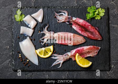 Frischer roher Babykalmar mit Zitrone und Petersilie auf schwarzem Schieferteller auf Betontisch, horizontaler Blick von oben, flache Lage, Nahaufnahme Stockfoto