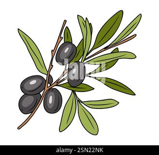 Elegante Zeichnung von Olivenzweigen mit Blättern Stock Vektor