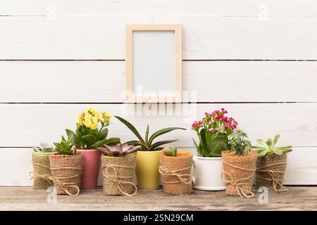 Ausstellung von bunten Topfpflanzen mit einem leeren Rahmen vor einer rustikalen Holzkulisse Stockfoto