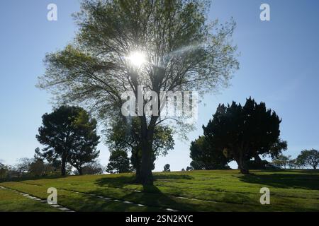 Culver City, Kalifornien, USA 11. Februar 2025 Holy Cross Cemetery am 11. Februar 2025 in Culver City, Kalifornien, USA. Foto: Barry King/Alamy Stock Photo Stockfoto