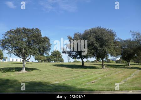 Culver City, Kalifornien, USA 11. Februar 2025 Holy Cross Cemetery am 11. Februar 2025 in Culver City, Kalifornien, USA. Foto: Barry King/Alamy Stock Photo Stockfoto
