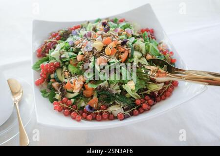 Salat mit Tomaten, Gurken, Spinat und roten Johannisbeeren Stockfoto