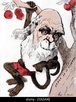 Karikatur von Charles Darwin als Affe auf dem Cover von „La Petite Lune“, einer Pariser satirischen Zeitschrift von André Gill Stockfoto