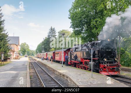 Drei annen Hohne, Deutschland – 30. August 2024: Im Sommer verlässt eine Dampflokomotive der Deutschen Brockenbahn den Bahnhof drei annen Hohne. Stockfoto