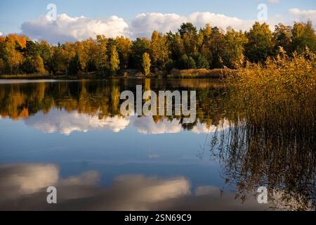 Am Meer im Herbst. Atemberaubende und farbenfrohe Reflexionen im See. Stockfoto