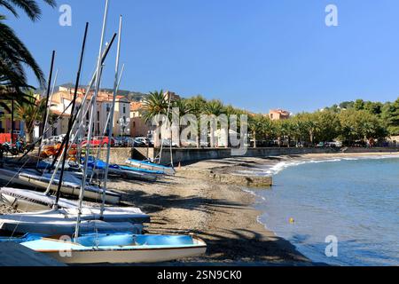 Der Hafen von Collioure und seine Kirche an der Vermeillenküste. Stockfoto