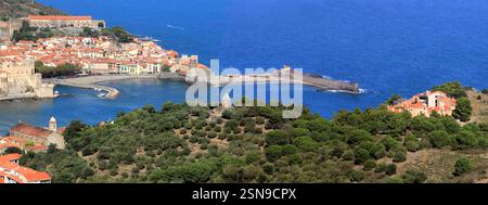 Der Hafen von Collioure und seine Kirche an der Vermeillenküste. Stockfoto