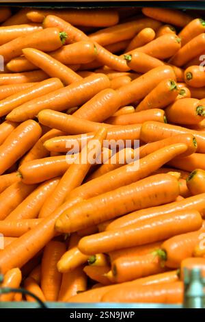 Karotten werden auf einer Produktionslinie in Großbritannien verarbeitet, gewaschen und sortiert Stockfoto