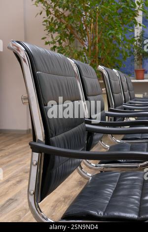 Reihe schwarzer Ledersessel im Wartebereich oder Konferenzraum. Tagungsraum oder Empfangshalle mit Hauspflanzen im Hintergrund Stockfoto