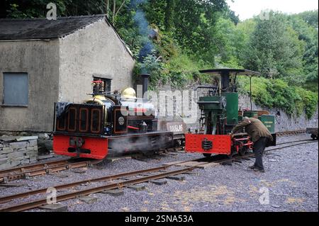 „Hugh Napier“ und „Fernilee“ bei Felin Fawr. Stockfoto