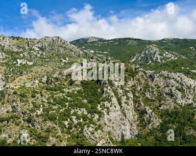 Kotor, Montenegro - 2. Juli 2024: Weite Landschaft. Kirche unserer Lieben Frau von Remedy auf dem grünen bewaldeten Berg und darüber die Festungsmauer Stockfoto
