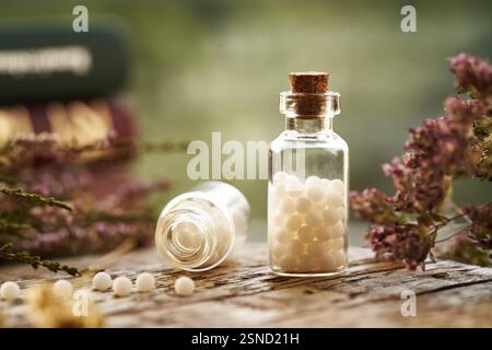 Zwei Flaschen weiße homöopathische Pillen oder Kugeln mit getrockneten Blumen und Büchern auf einem Tisch Stockfoto