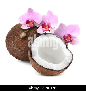 Kokosnüsse und rosa Orchideenblüten isoliert auf weiß Stockfoto