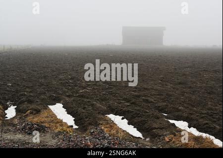 Dieses stimmungsvolle Foto zeigt eine nebelbedeckte ländliche Landschaft mit einem frisch gepflügten Feld, das sich zum nebeligen Horizont hin erstreckt. Im Hintergrund ein Vater Stockfoto