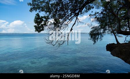 Ein ruhiger Blick auf die Küste mit klarem Wasser, üppigem Laub und atemberaubender Landschaft Sansibar Afrika Stockfoto