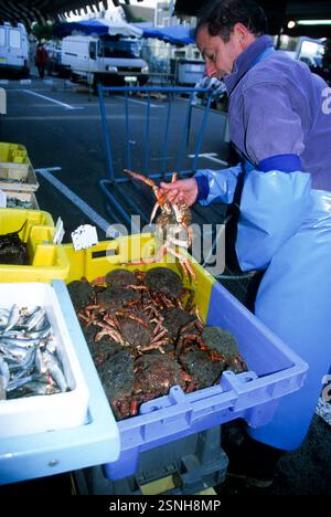 Der kleine französische Inselhafen Belle Isle, Frankreich, ist eine Insel vor der Küste der Bretagne, Departement Morbihan, die größte dieser Inselgruppe. Stockfoto