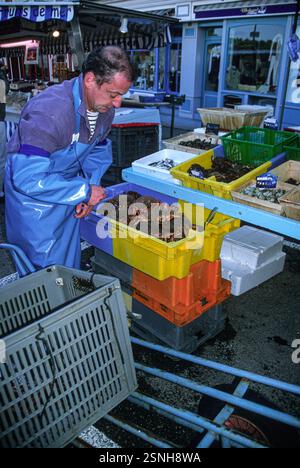 Der kleine französische Inselhafen Belle Isle, Frankreich, ist eine Insel vor der Küste der Bretagne, Departement Morbihan, die größte dieser Inselgruppe. Stockfoto