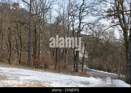 Eine friedliche Winterszene entfaltet sich auf einer verschneiten Straße, die sich durch einen Wald in Deutschland schlängelt, München. Hohe Bäume stehen auf beiden Seiten, ihre Äste beladen Stockfoto